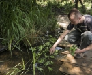 Les jardins  lhonneur  la Saline Royale